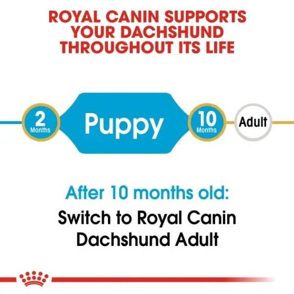 Royal Canin Dachshund Puppy - Суха храна за подрастващи дакели от 2 до 10 месечна възраст - 1.5 кг